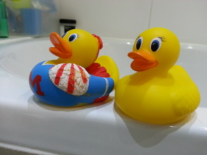 These ducks are joining us on Friday's trip to Bath.