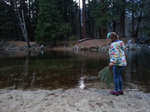 Tossing rocks (and pinecones) into the Merced.